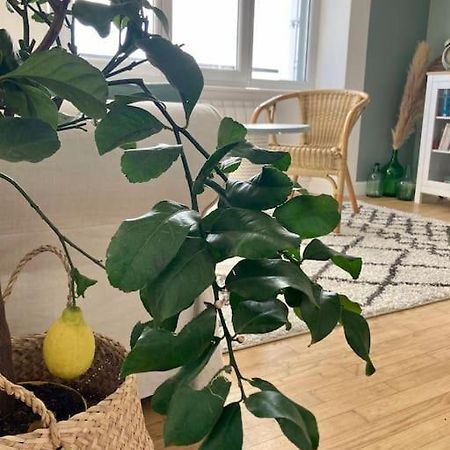 Le Citronnier Apartment Фуенан Екстериор снимка