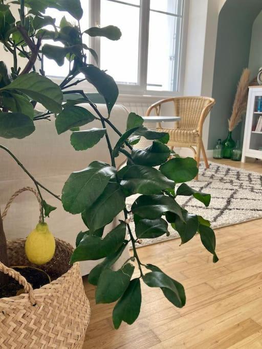 Le Citronnier Apartment Фуенан Екстериор снимка